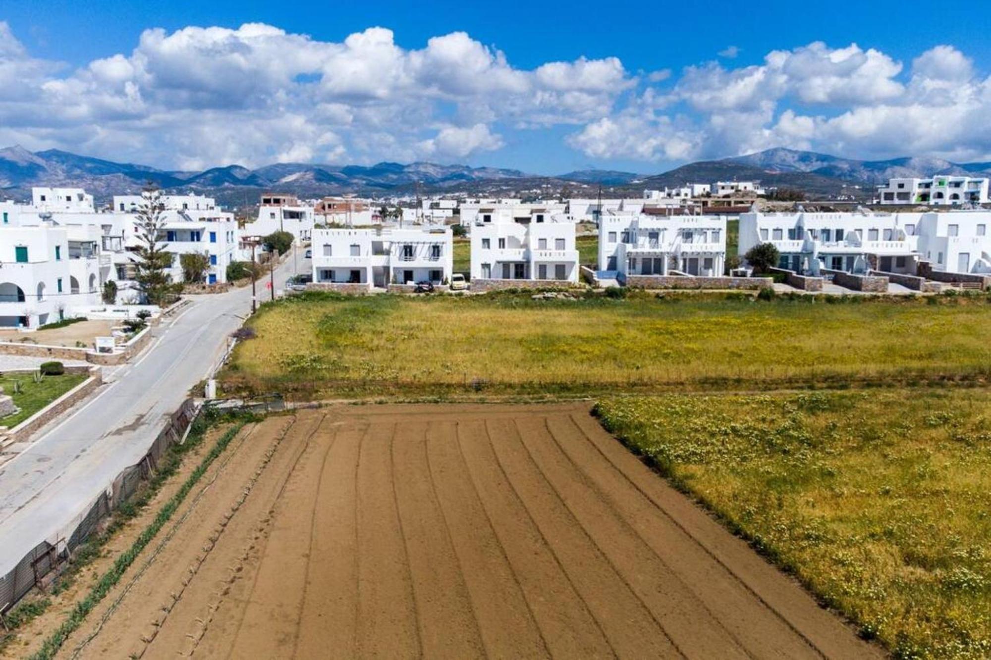 Appartamento Naxos Agia Anna Sunset View Olive House Esterno foto