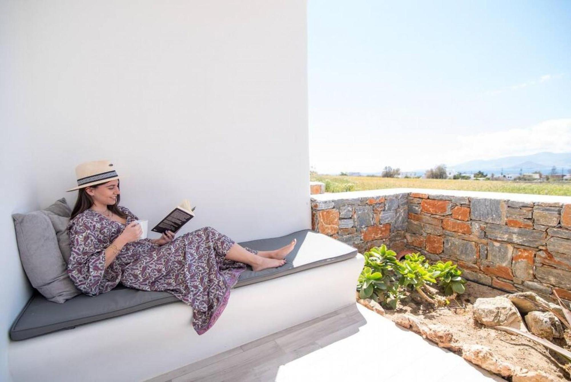 Appartamento Naxos Agia Anna Sunset View Olive House Esterno foto